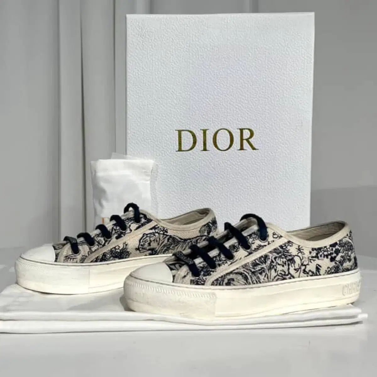DIOR(ディオール) トワードズーイ ウォーク & スニーカーズ ディオール