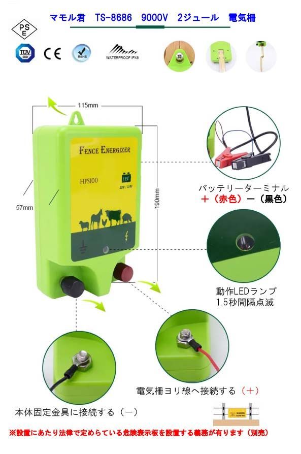 マモル君