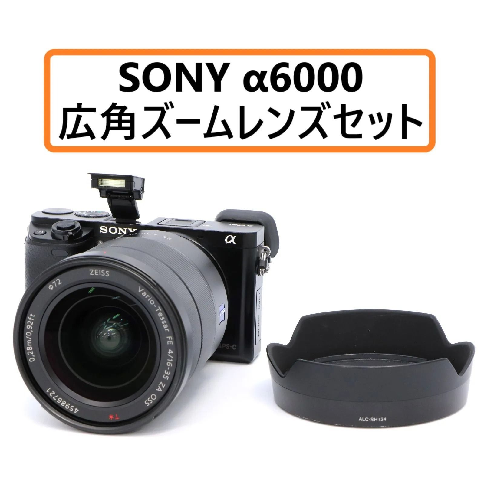 特売 SONY α6000 広角ズームレンズセット【11407】 - www.seguros