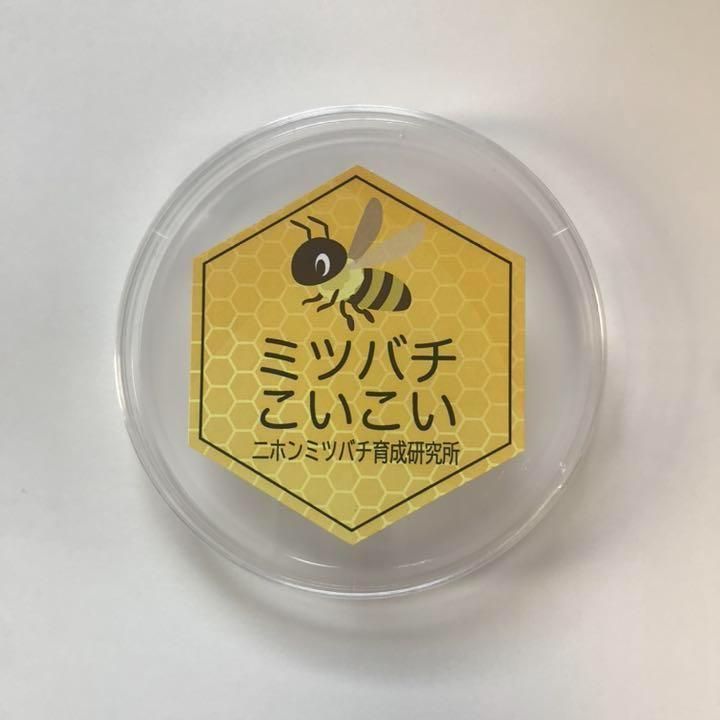 誘引ルアー 5つセット ニホンミツバチの誘引に 蜜蜂誘引剤