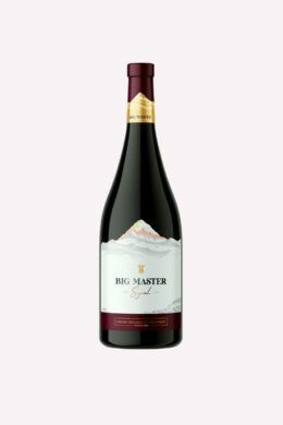 ネパールワインSyrah (Vintage 2021)1ケース12本入り Big Master Syrah (Vintage 2021) - メルカリ