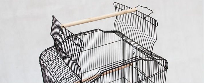鳥小屋 鳥かご