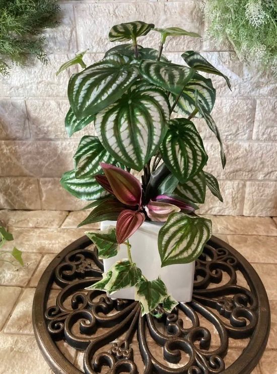 光触媒 人工観葉植物 ウォールグリーン ゴールデンフィカスダブル1.2