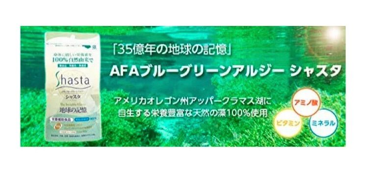 シャスタ タブレットタイプ