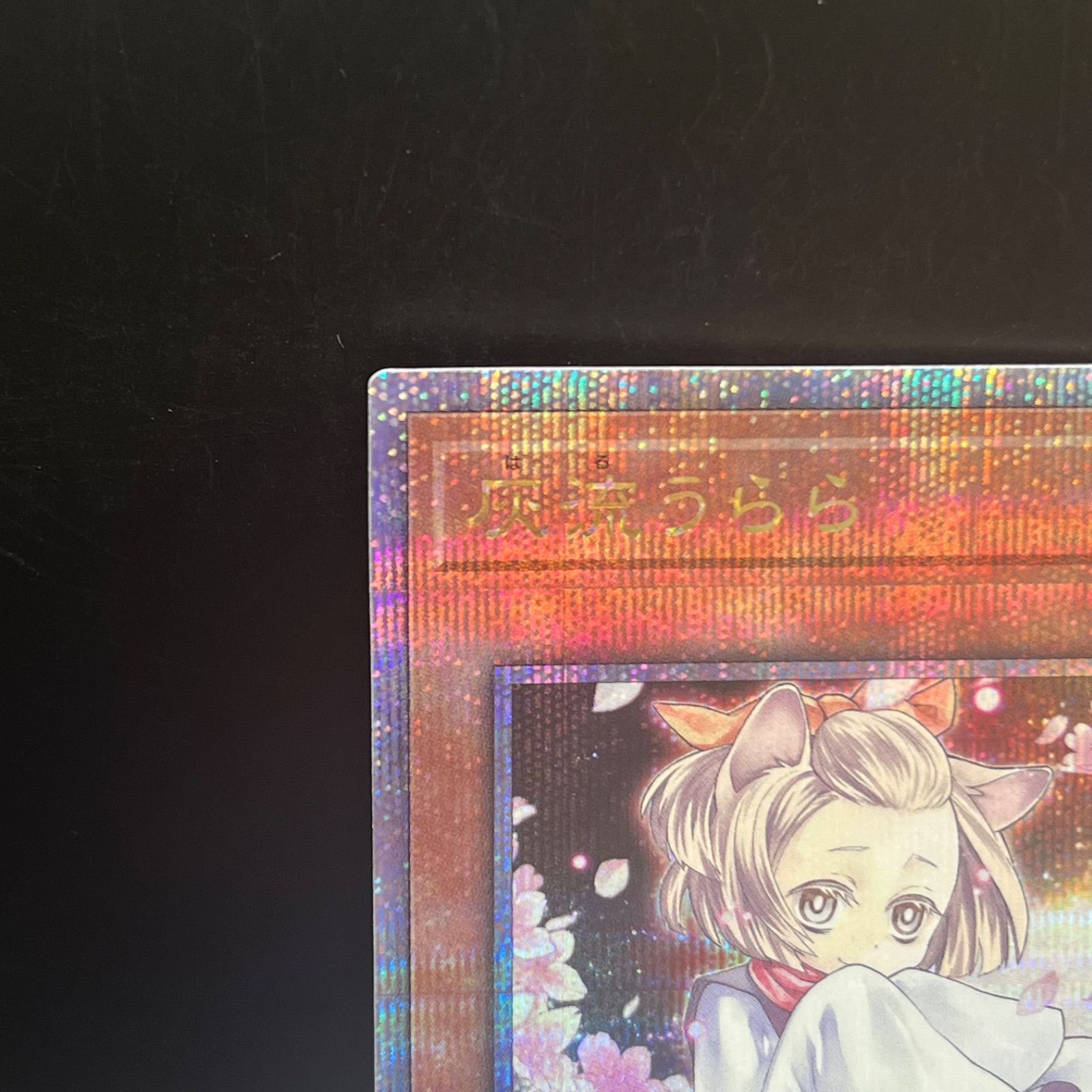 遊戯王 灰流うらら 新規イラスト クォーターセンチュリーシークレット