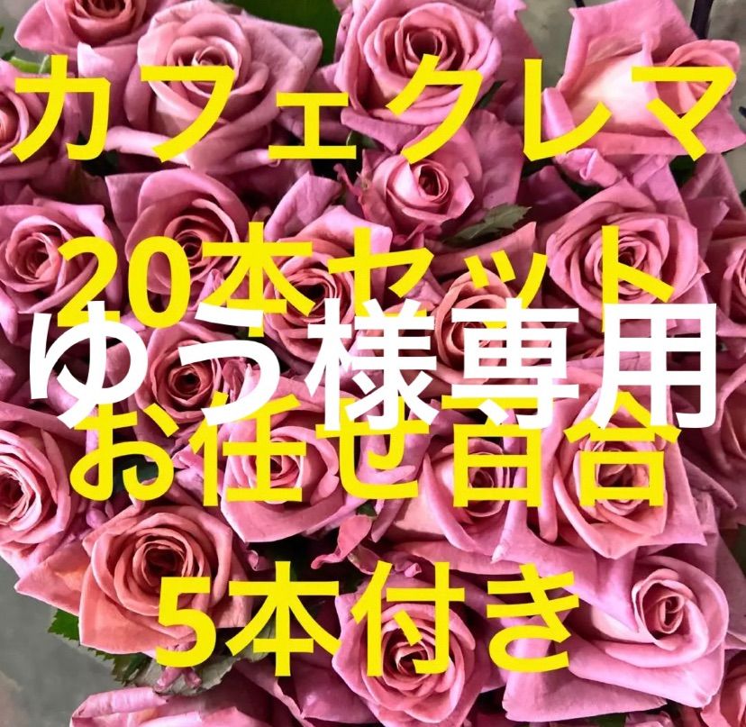 ゆう様専用 クール便対応専用ページ作ります。 同梱リンドウ20本 バラ