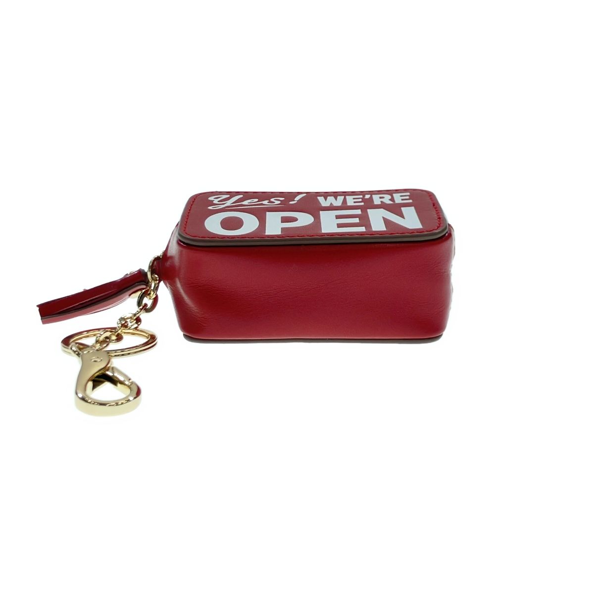 GOOD GRIEF! グッド グリーフ! OPEN/CLOSED ACC CASE ミニケース