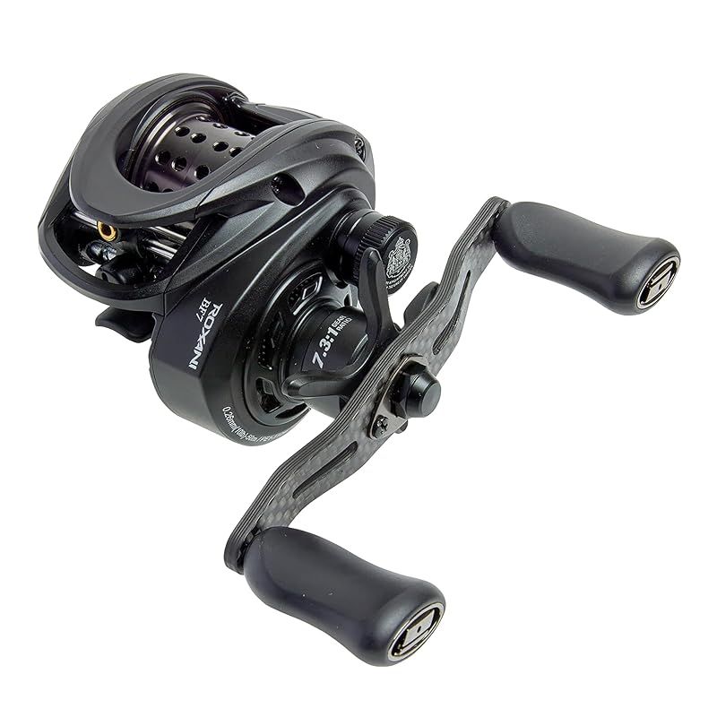AbuGarcia (アブガルシア) Roxani BC BF7-L ロキサーニ 24年モデル 左巻き