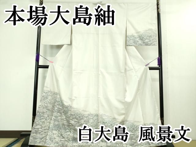 平和屋本店 上 本場大島紬 白大島 風景文 DZAB1344kh5