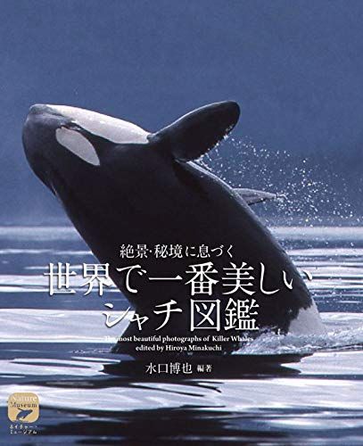 世界で一番美しいシャチ図鑑: 絶景・秘境に息づく (ネイチャー・ミュージアム)／水口 博也