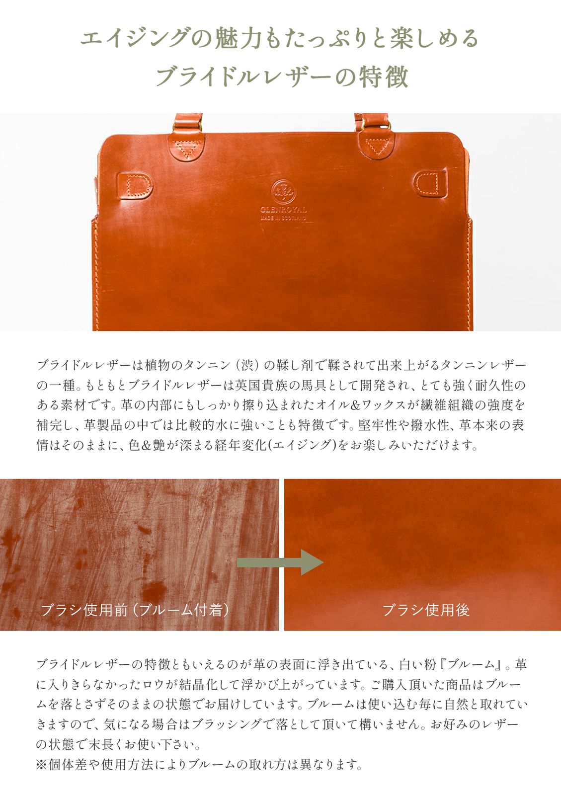 本革