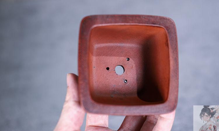 宜興紫砂鉢 正方小花鉢 盆栽鉢 植木鉢 小品盆栽鉢 大品盆栽鉢