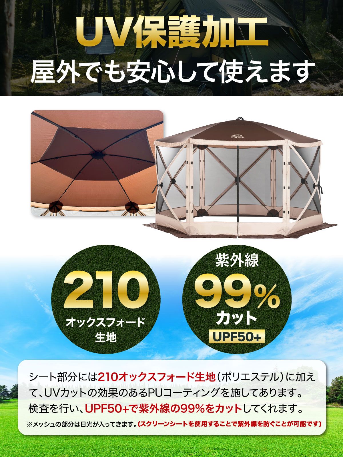ピクニック アウトドア