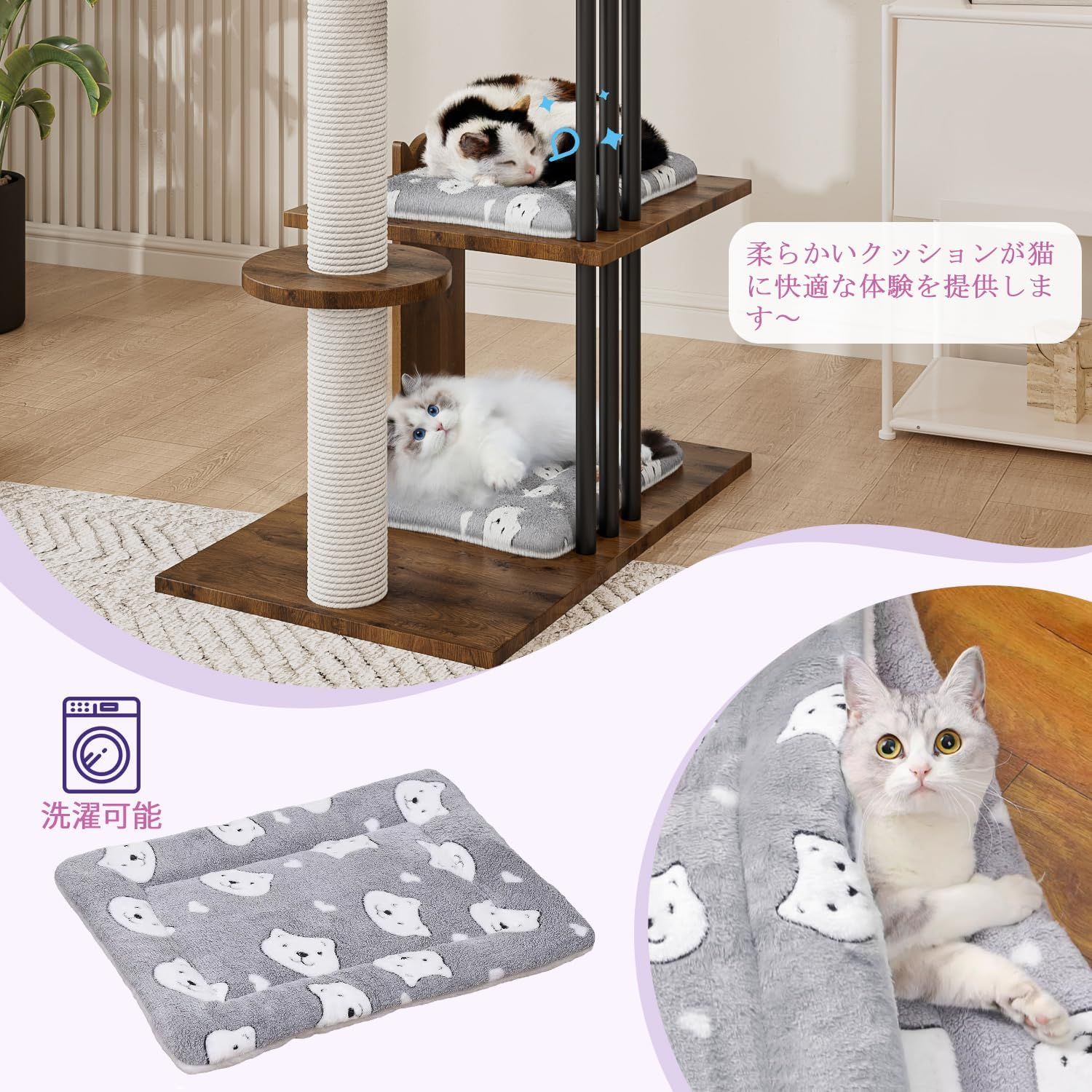 爪とぎ