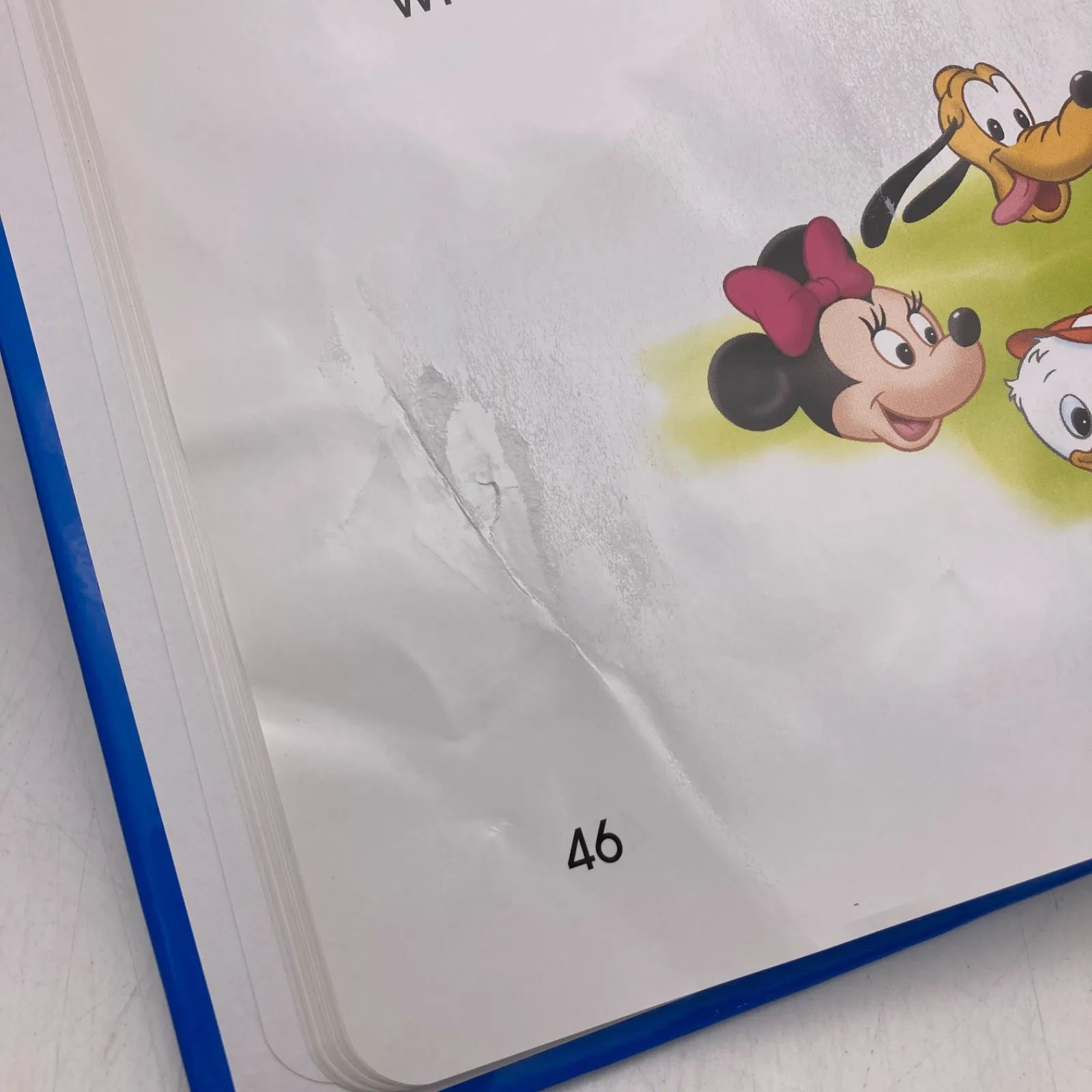 2018年 シングアロング　新子役DVD　ディズニー英語システム　202426 ディズニー英語システム シングアロング DVD 新子役 2018年 DWE