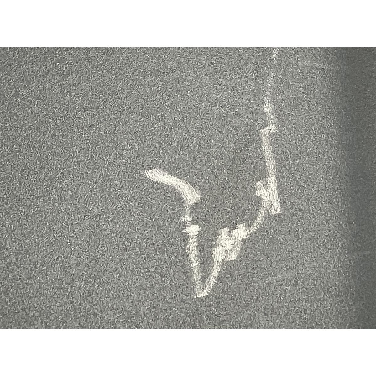 PS5 リモートプレーヤー