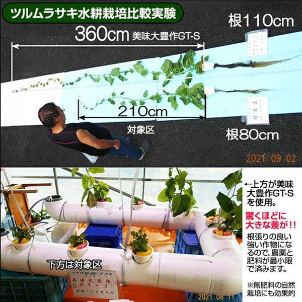 美味大豊作 植物活力液 活性剤 5リットル 天然成分 100% GT-S