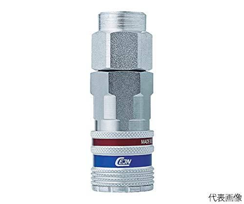 2営業日で発送 セインジャパン セイン シリーズ410 eSafe カップリング NPT3 4メネジ
