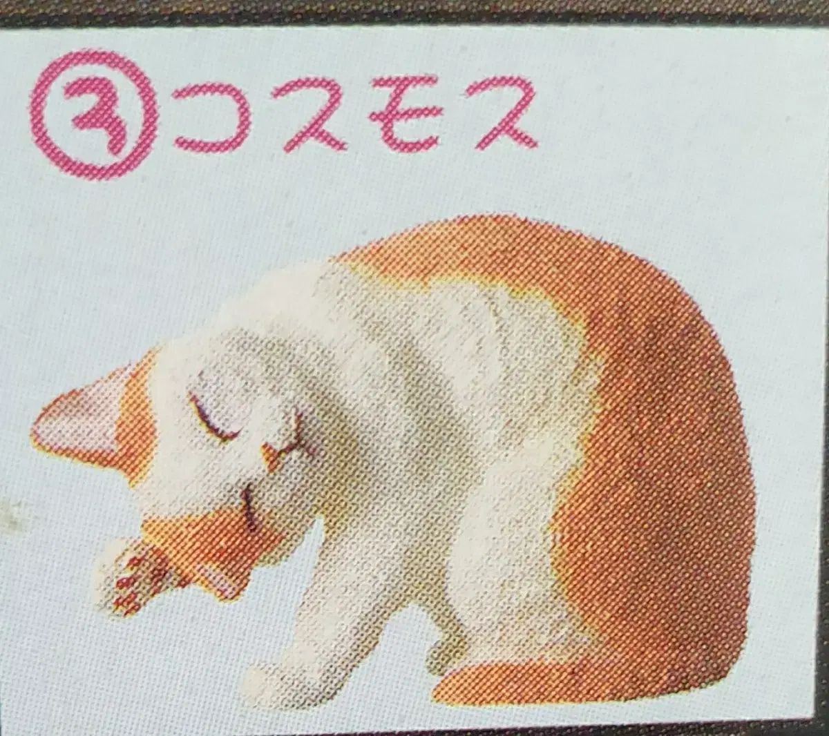 赤字超特価，限定セール ナゴ猫 4 焦げた 3 回 ビニールで未開封で販売 その他