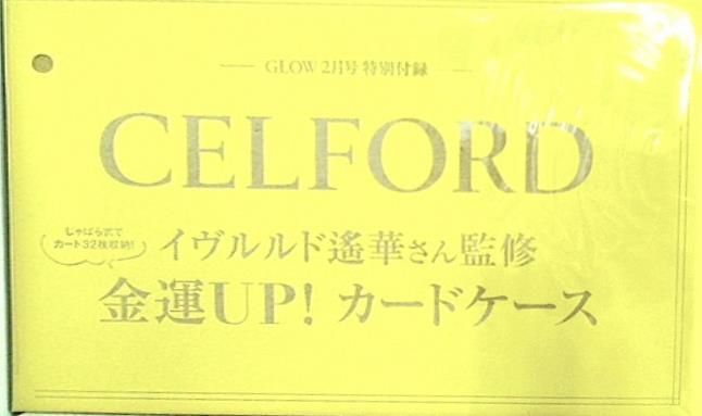 グロー 2022年2月号付録イヴルルド遙華さん監修CELFORD カードケース - 5