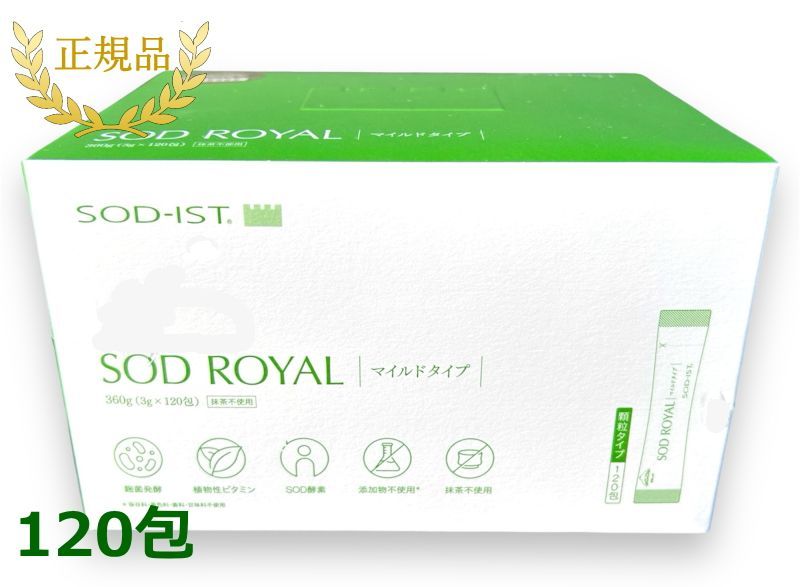 岩松了3本連続公演 パンフレット アイスクリームマン センター街 隣りの男