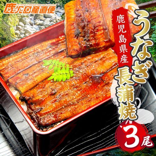 産 鹿児島県産 大崎町 うなぎ 蒲焼き 3尾 ウナギ 鰻