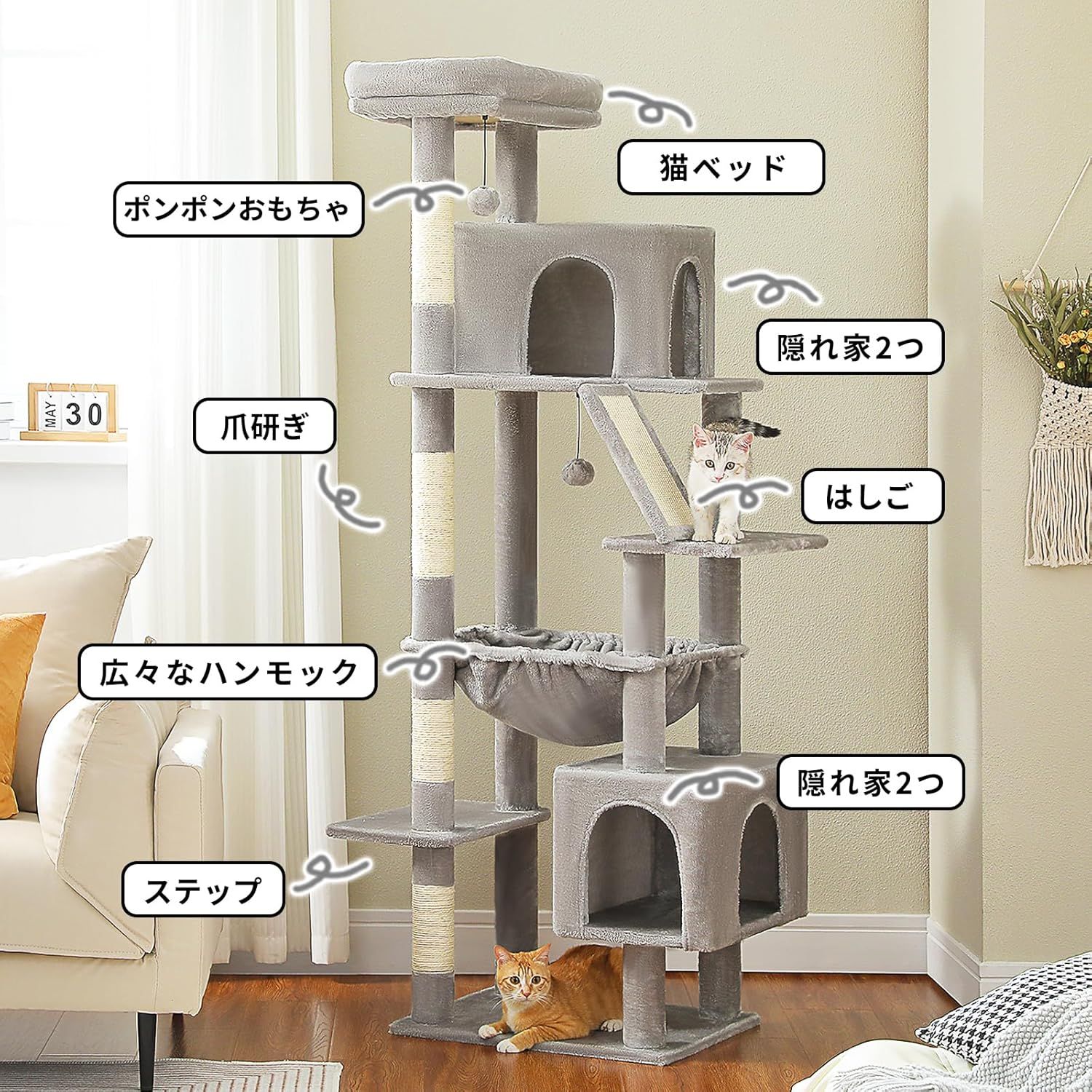 コンパクト