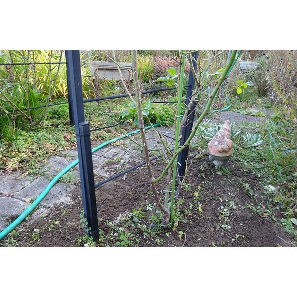 ガーデンアーチ|フラワーアーチ