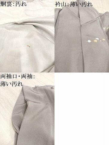 平和屋着物□訪問着 駒刺繍 桐 金彩 正絹 逸品 AAAT2826ph