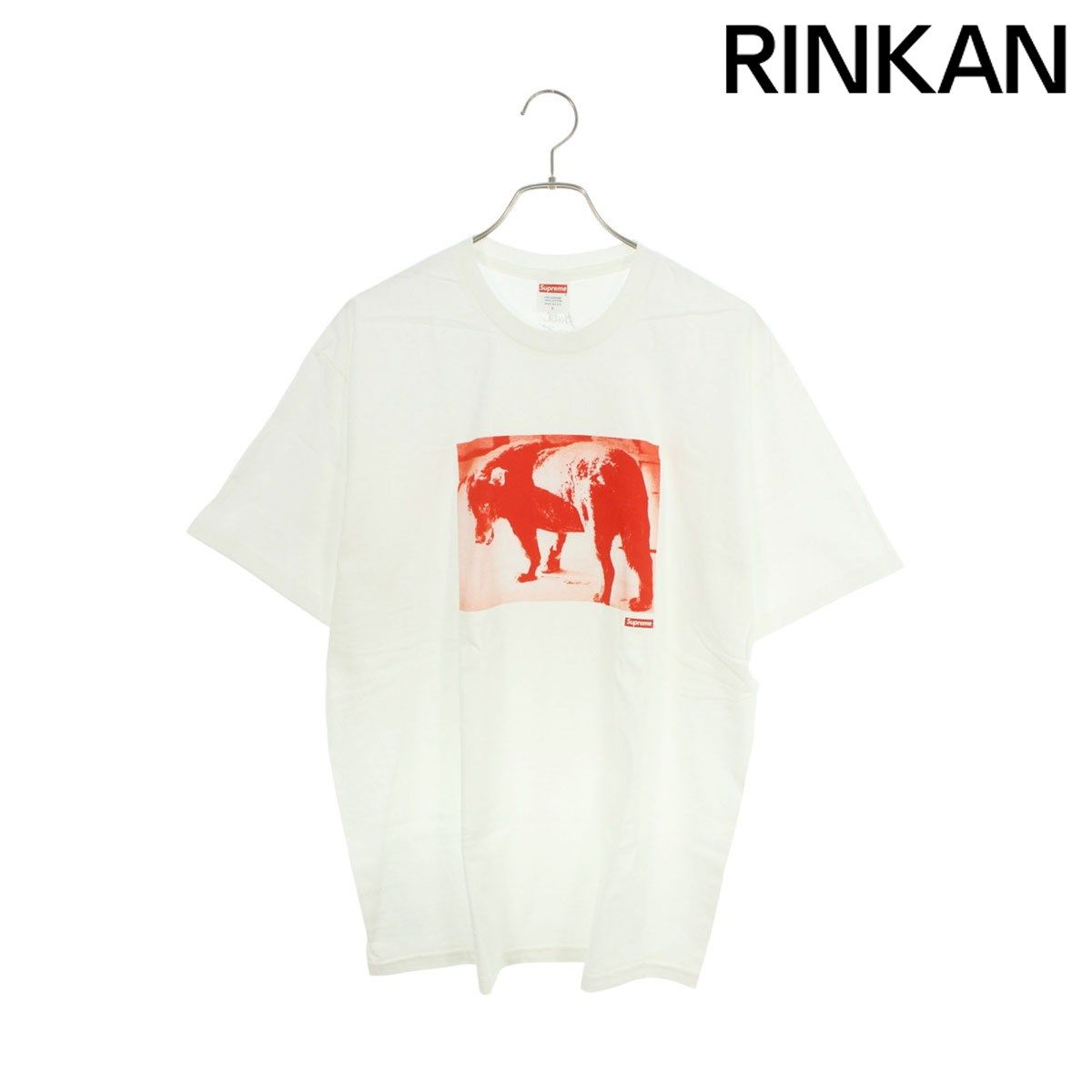 シュプリーム 22SS Daido Moriyama Dog Tee 森山大道ドッグフォトプリントTシャツ メンズ L