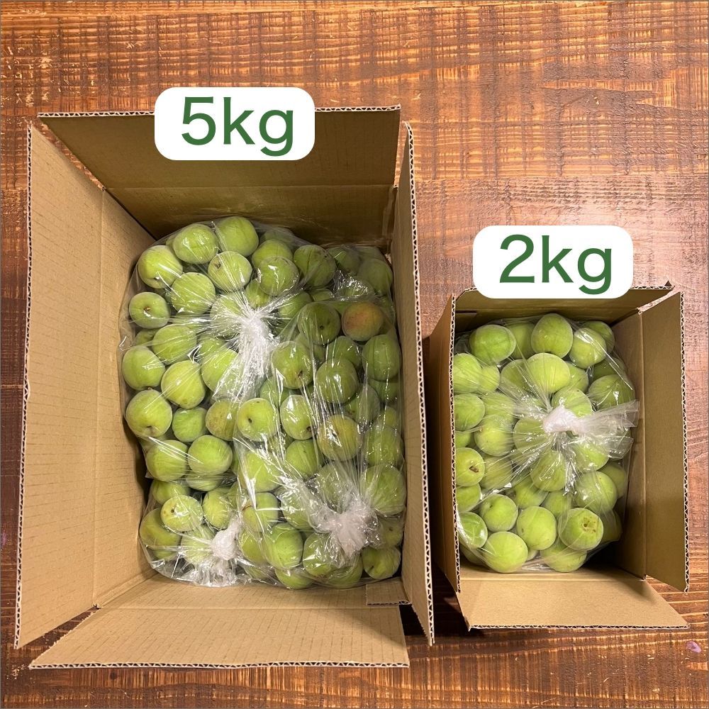 南高梅. 約2kg 栽培期間中は農薬は不使用！自然農法 青梅 60