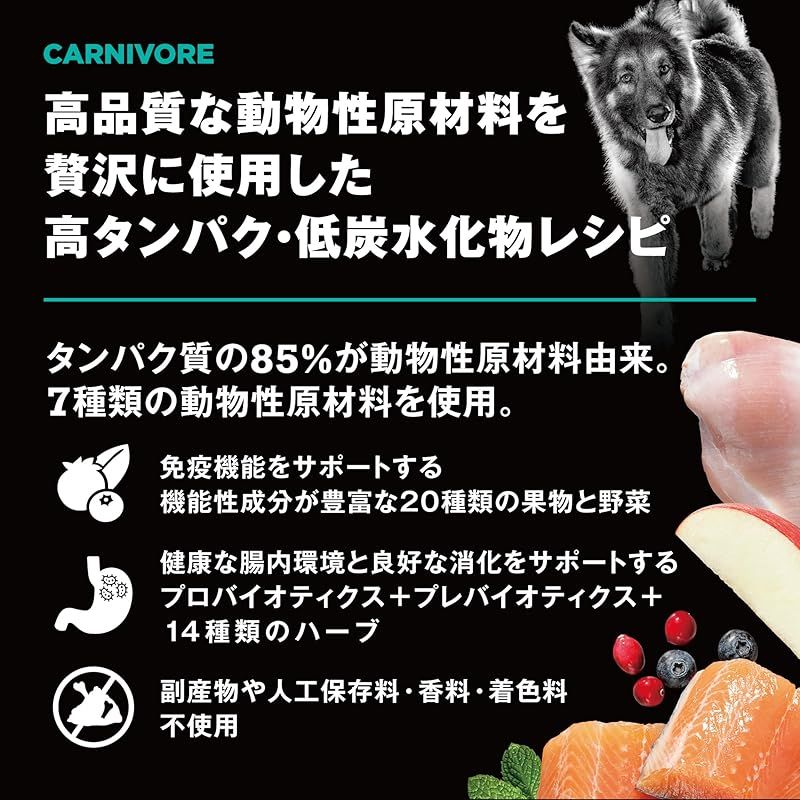 お肉たっぷり GO! SOLUTIONS カーニボア ドッグフード 2.3kg グレインフリー 高タンパク 低糖質 成犬 全犬種 チキンターキー＆ダック ゴーソリューションズ 1 SKLAD-KIRPICHA_RU