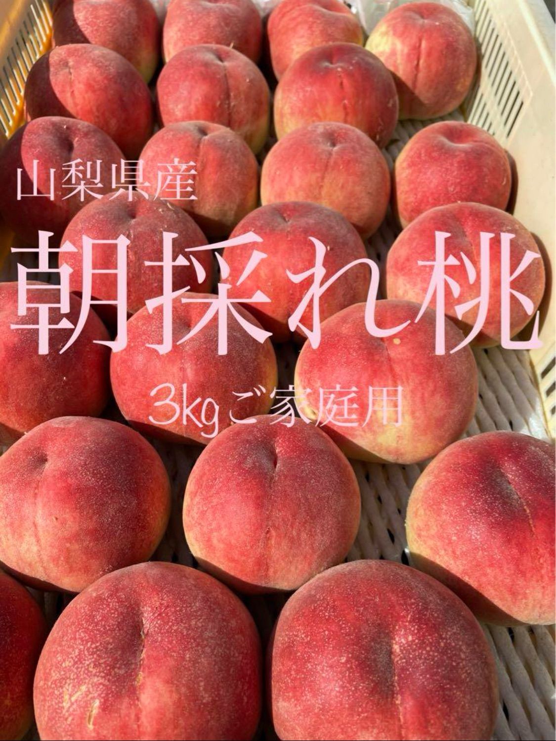 【7月より順次発送／硬肉の桃】山梨県産／桃3kg B品／朝採れ／ご家庭用にぜひ！