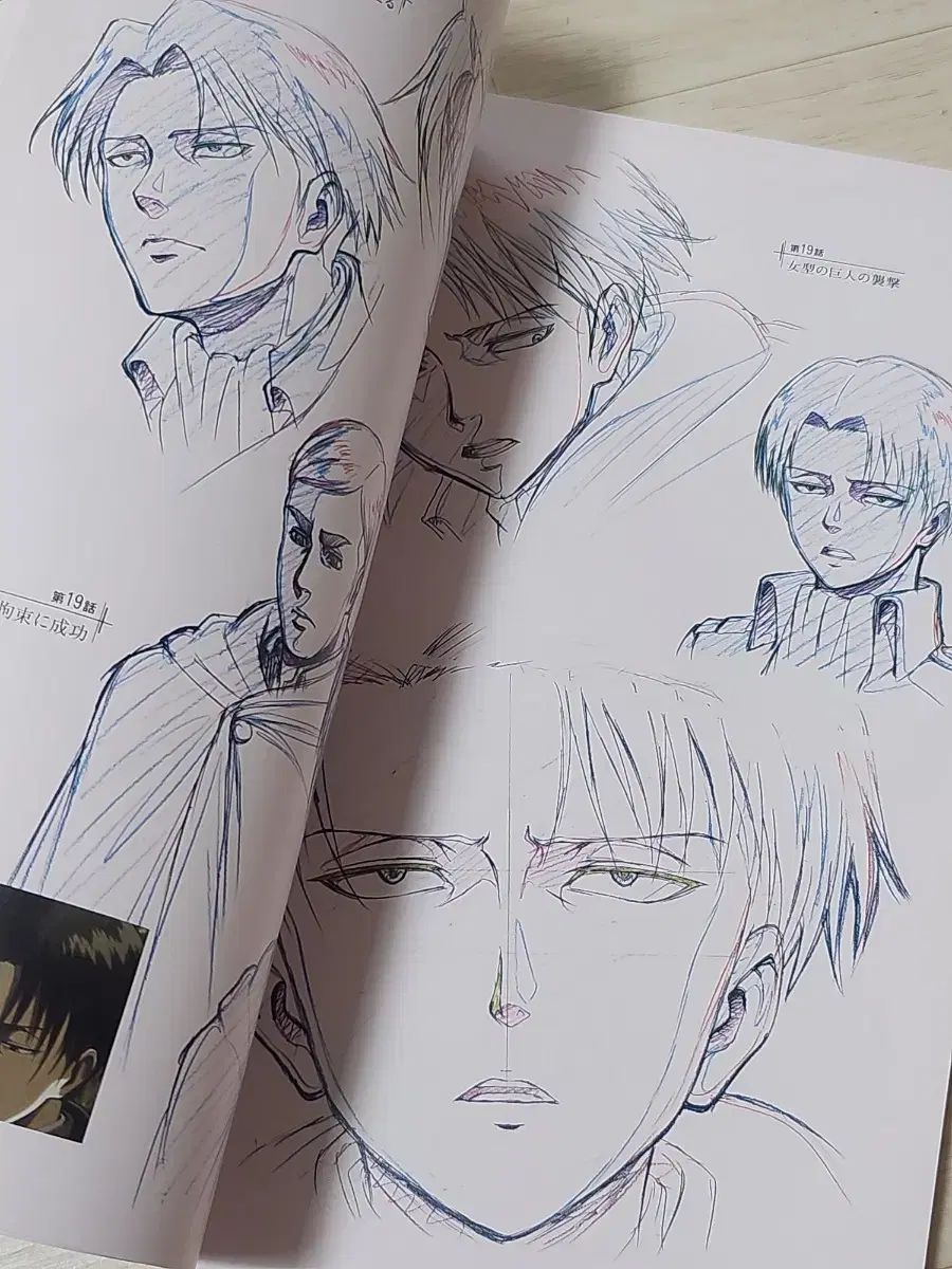 上質な 進撃の巨人 1期 原画 キャラクターシート アートブック 検索用 エレン リヴァイ ほんとにお得！