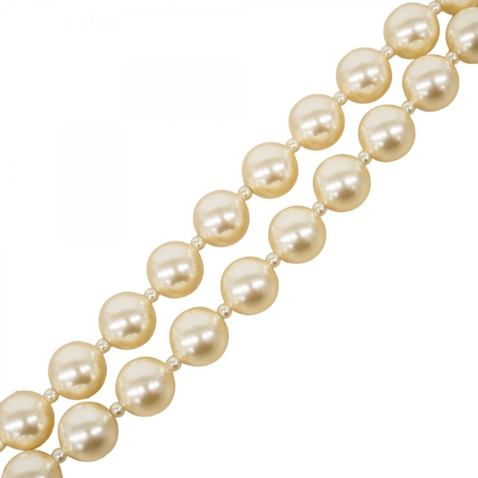 シャンパンレディース P1337952