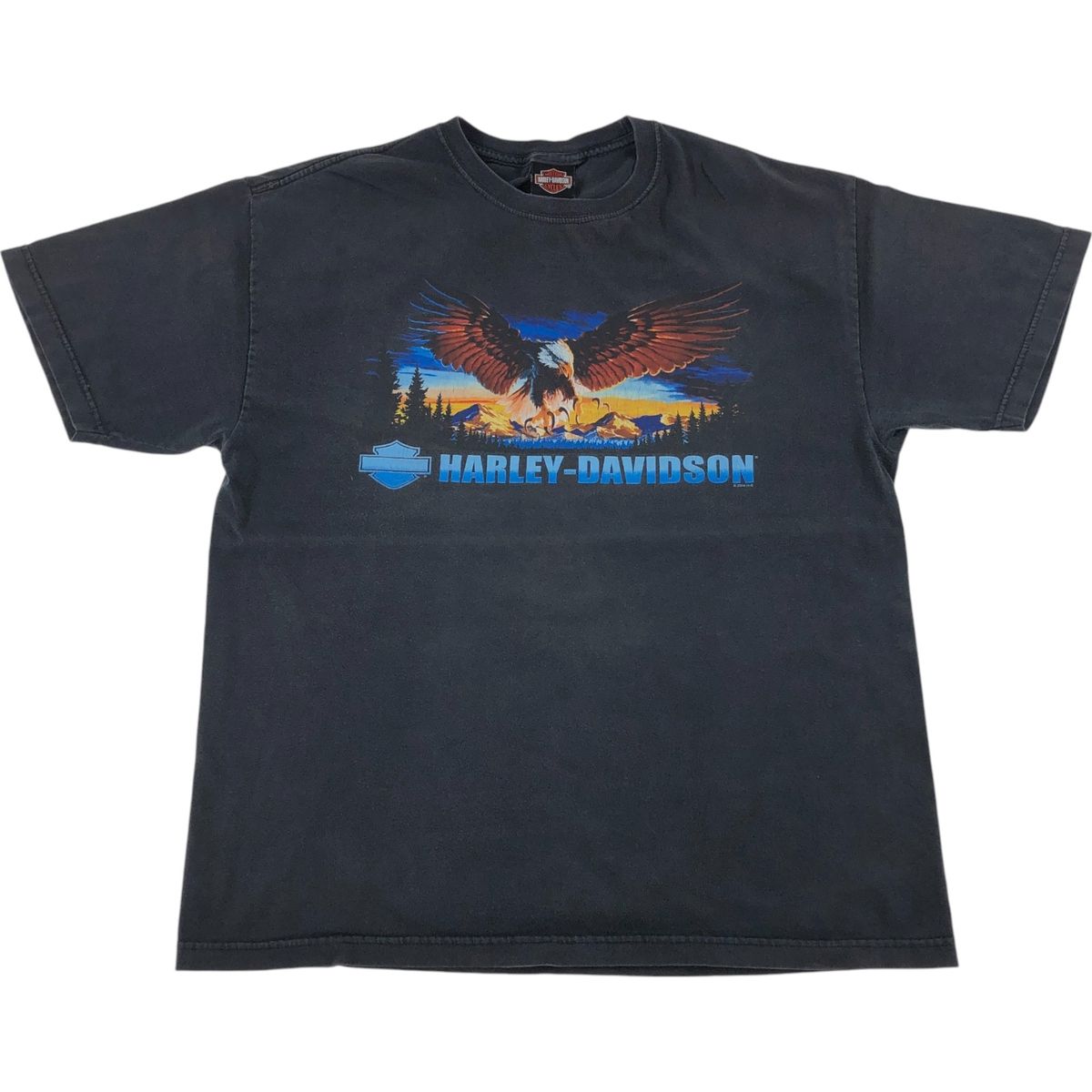 古着 00年代 ハーレーダビッドソン Harley-Davidson 鷲柄 イーグル柄 モーターサイクル バイクTシャツ メンズL相当|eaa538440