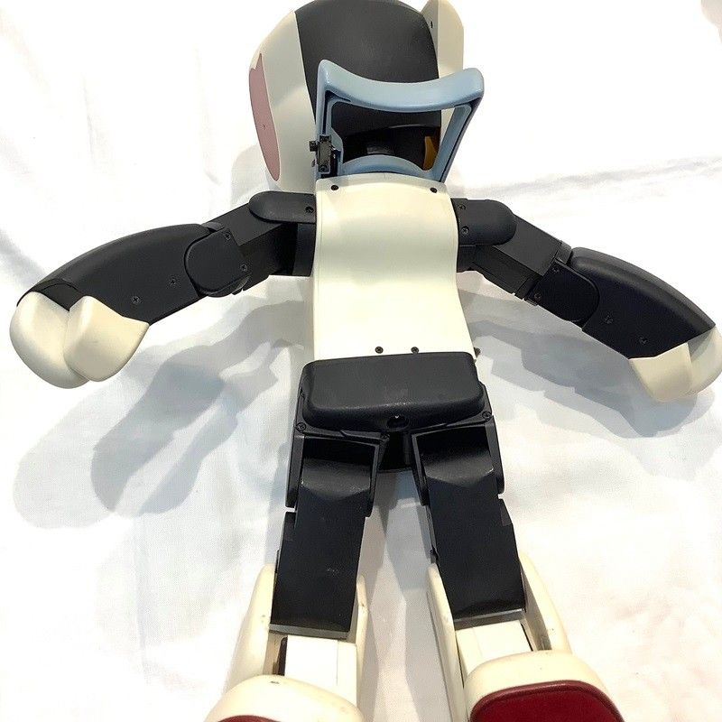 【不動品：ジャンク販売】デアゴスティーニ（DeAGOSTINI） Robi　ロボット  ロビ  本体  ケース付き【中古】KB-9831 不動品：ジャンク販売】デアゴスティーニ（DeAGOSTINI） Robi