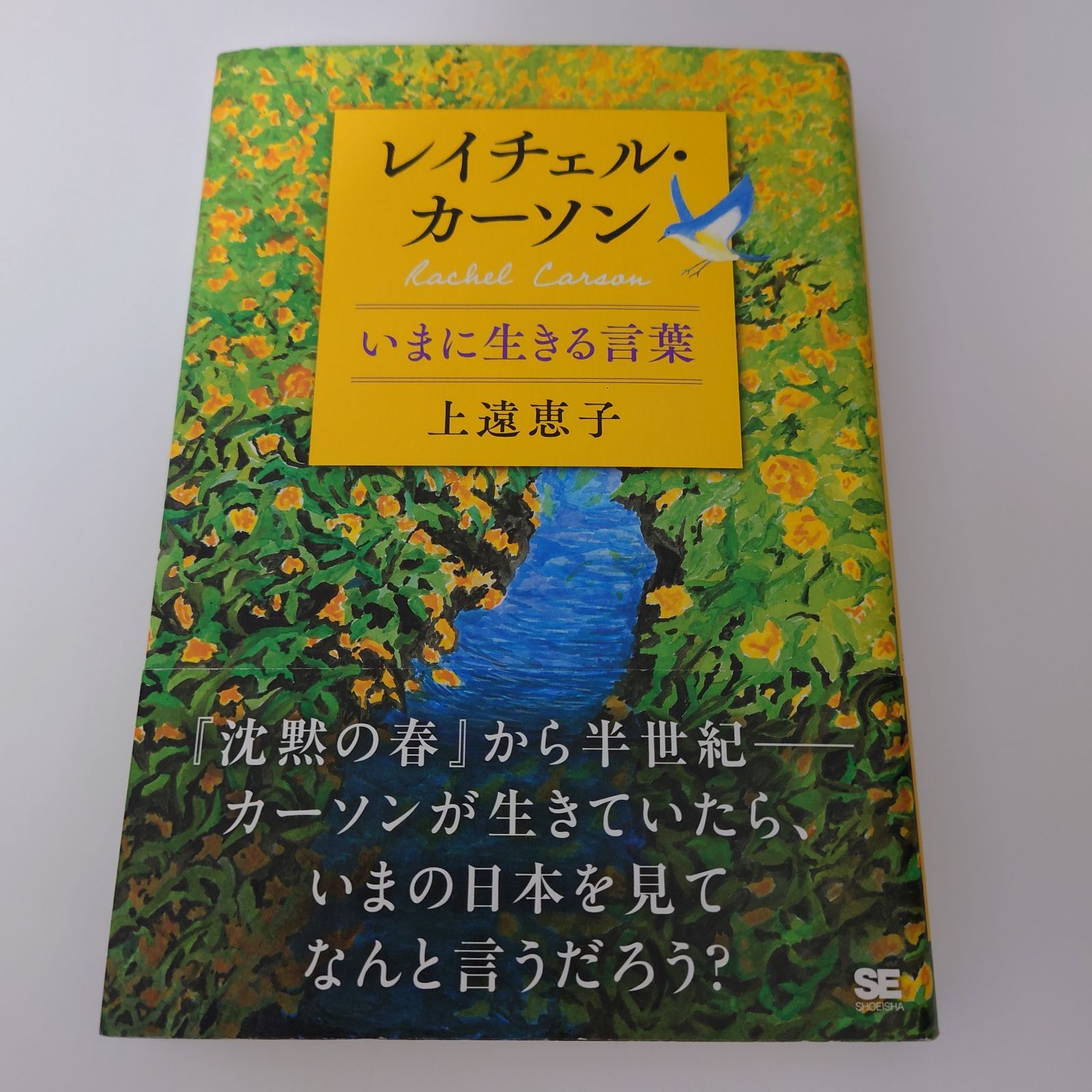 レイチェル・カーソン いまに生きる言葉 上遠 恵子 - メルカリ