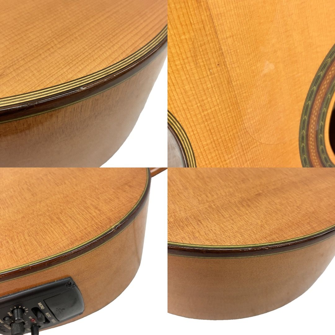 EQ搭載 エレクトリック