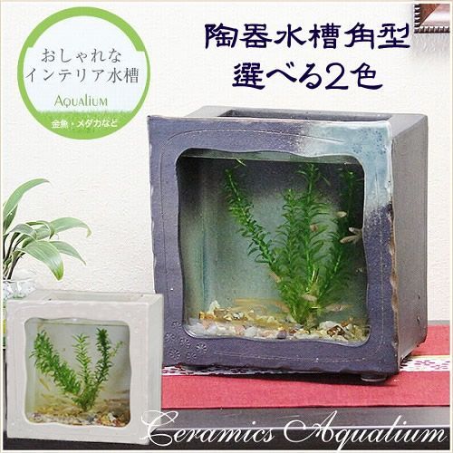 信楽焼 2色から選べる 金魚鉢 メダカ鉢 アクアリウム ガラス