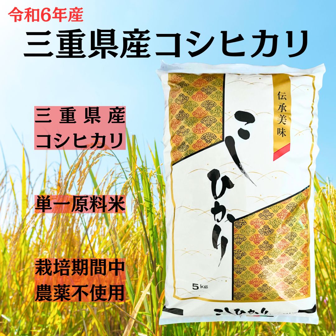 新米】農家直送 10㎏ 三重県伊勢市 コシヒカリ 令和6年度産 【公式通販】
