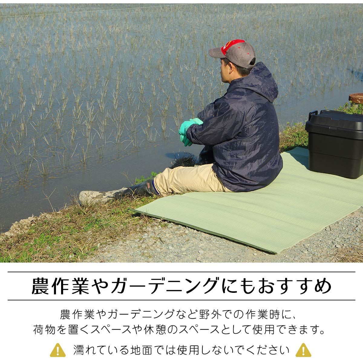 ラグ