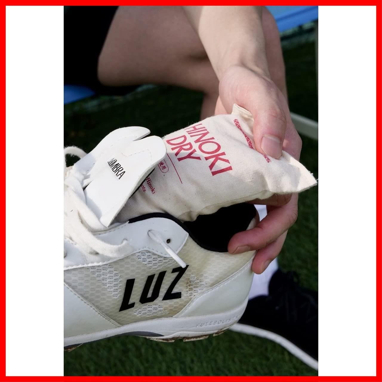 木曽天然ヒノキ使用 繰り返し使える除湿 消臭剤 ヒノキドライ プレステージ エム モゥブレィ