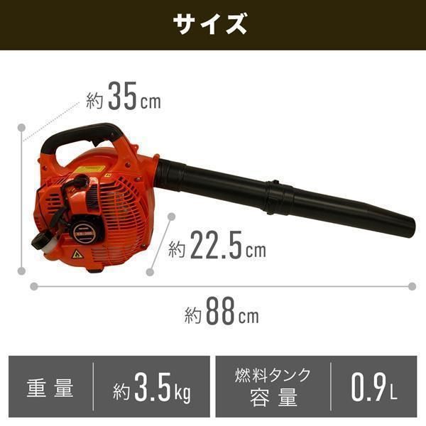 落ち葉 枯れ葉