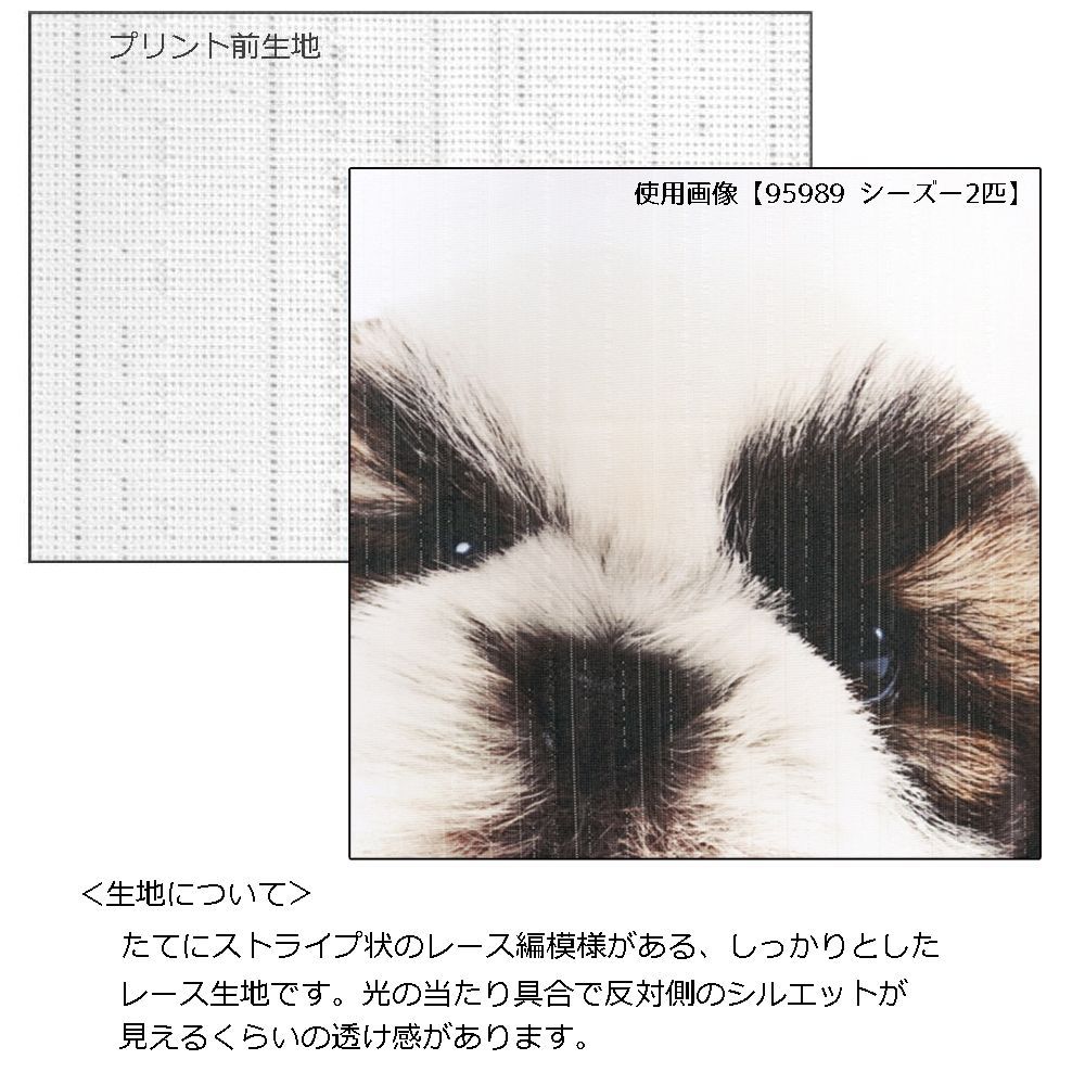 のれん 暖簾 洋風 いぬ 犬 THE DOG ウェルシュコーギー 2匹 85×150 ...