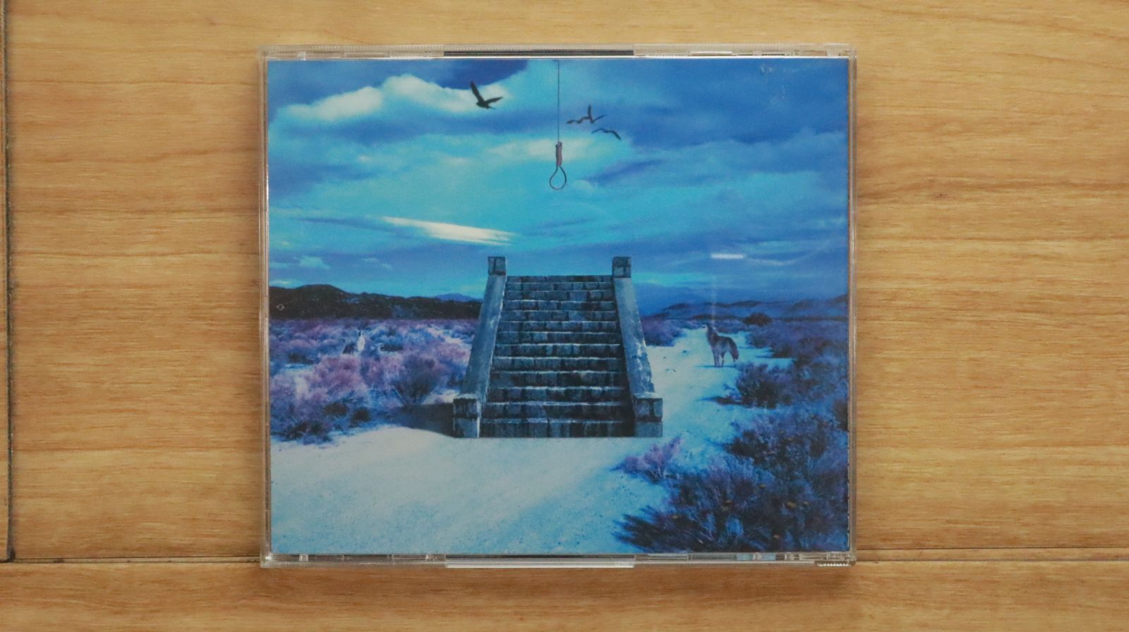 初回特典付き。13 (初回盤)/SADS：未開封CD 国内盤CD☆サッズ/SADS□ 13 (初回盤) 【UPCH9055/4988005332097