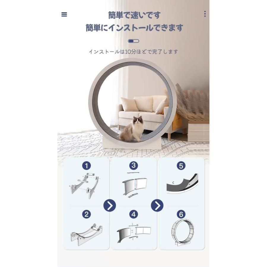 猫のトレッドミル