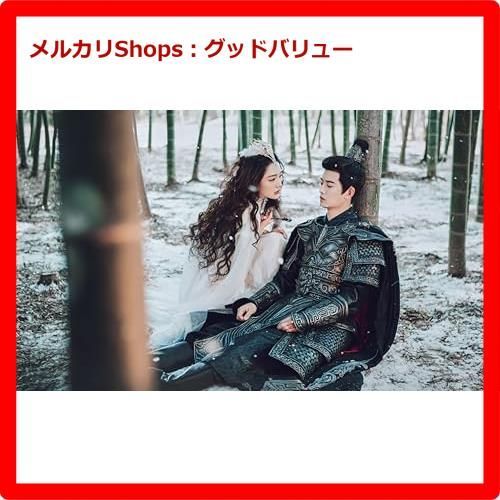 新品未開封☆ 請君（せいくん）～遥かなる恋人たち～ DVD-BOX3