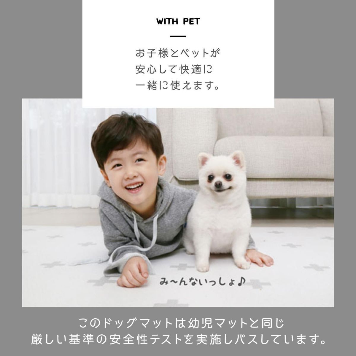 同色2枚セット