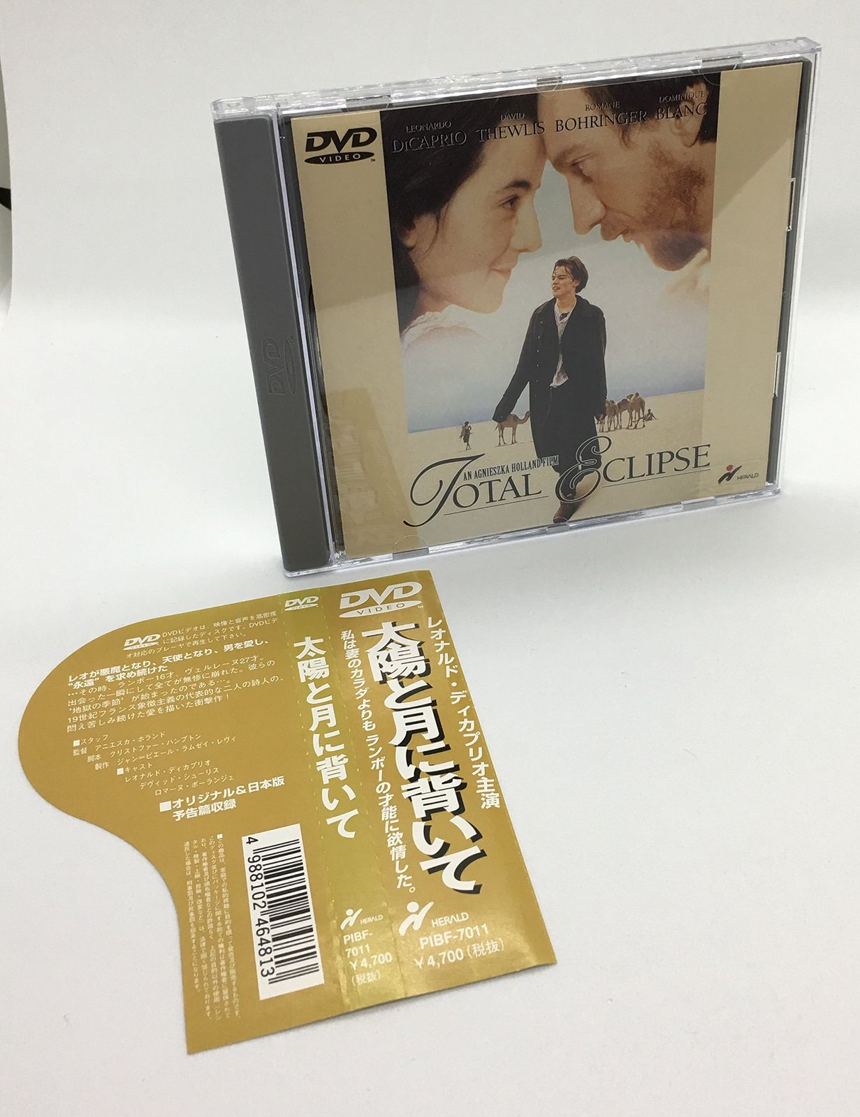 DVD 出演 レオナルド・ディカプリオ デヴィッド・シューリス 太陽と月 